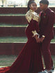 Trumpet/Mermaid High Neck Velvet Long Sleeves Court Train Prom Evening Dress with Applique